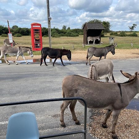 New Forest View Beaulieu Exterior photo